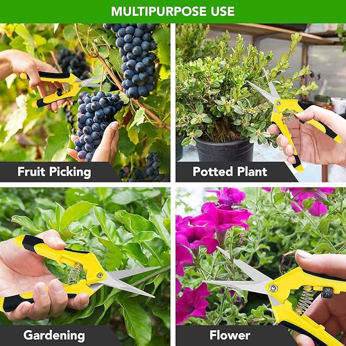 iPower 6.5 Inch Gardening Scissors Hand Pruner Pruning Shear with Straight Stainless Steel Blades, Yellow, 1-Pack