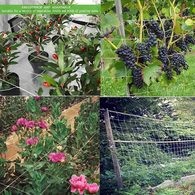 BaseGoal All-Weather Trellis Netting Mesh Plant Garden Vine Growing Flexible String Net (6" Mesh ployester, 5' Wx 15'L)