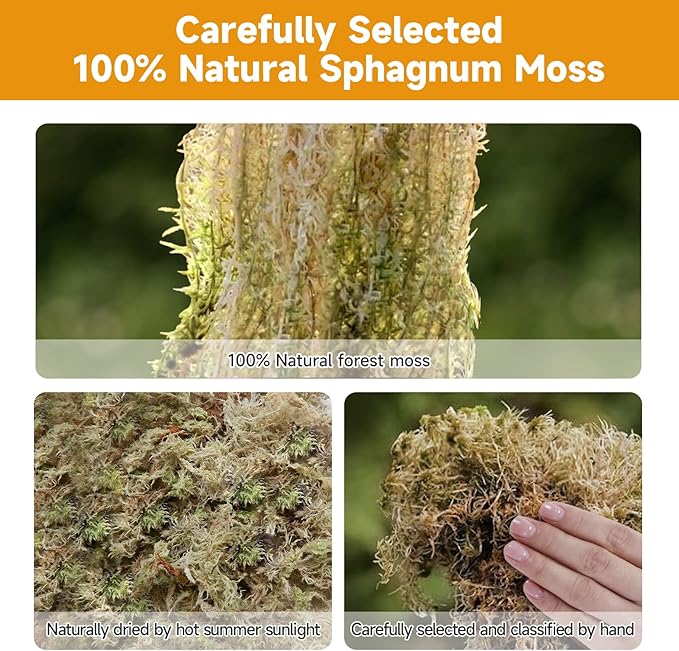 Pre-Filled Sphagnum Moss Pole for Climbing Plants, 25.4 Inch Extendable Plant Stakes, Reusable Plastic Moss Support Poles, Long-Lasting Moisture for Pothos & Monstera Growth