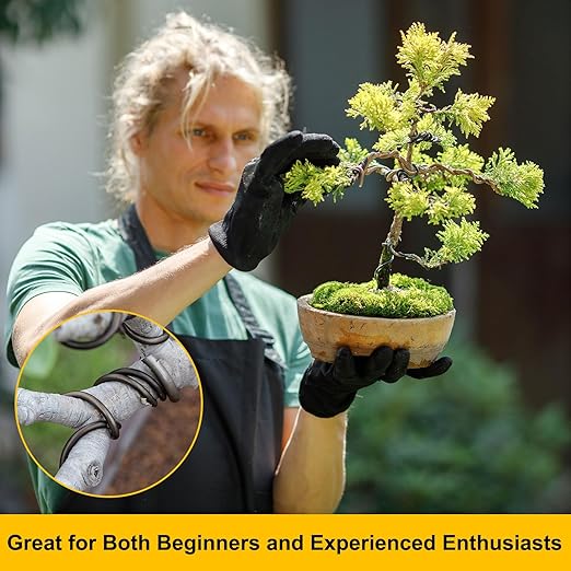 M METERXITY 2-Rolls 2mm Bonsai Training Wire, 32.8 Feet Total Anodized Aluminum Bonsai Wires for Bonsai Tree Shaping/Branches Fixing/Trunk Holding/DIY Crafting [16.4ft Each, Black]