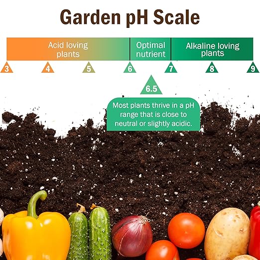 Premium Soil Testing Kit – 100 Soil pH Test Strips (3-9 Range) Quick & Accurate pH Testing for Garden, Lawn & Plants | Easy-to-Use pH Soil Tester Strips for Healthy Soil & Optimal Growth