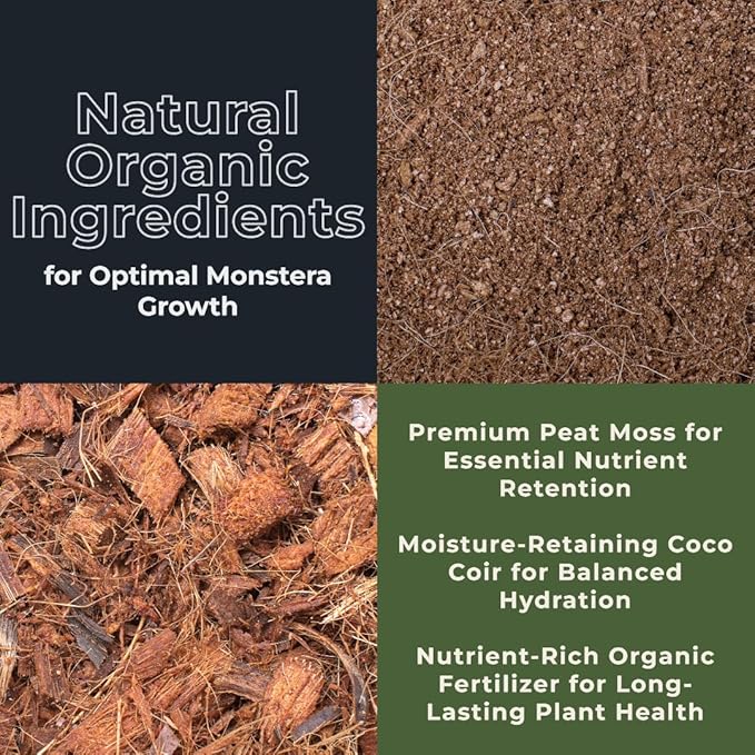 GARDENWISE Monstera Potting Soil Mix – Organic, Fast-Draining, Chunky Soil with Coconut Coir & New Zealand Bark for Indoor Plants – Premium Fertilizer for Monstera Deliciosa, Albo & More (10 quarts)