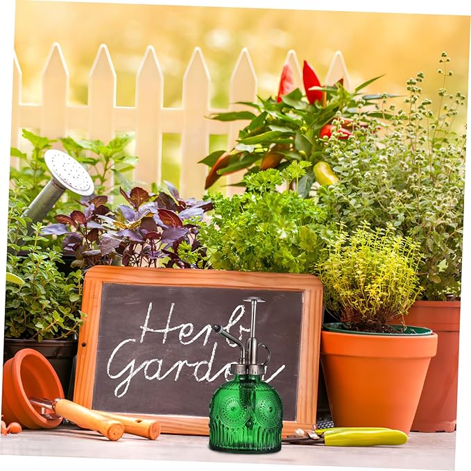 Glass Plant Water Sprayer Mister Spray Bottle for Home Use Indoor Herb Garden Spraying Device