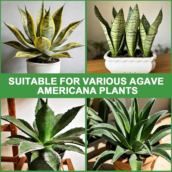 Organic Snake Plant Potting Soil 1qt- Well-Draining Nutrient-Rich Mix for Healthy Roots & Faster Growth, Natural Soil for Sansevieria Plants