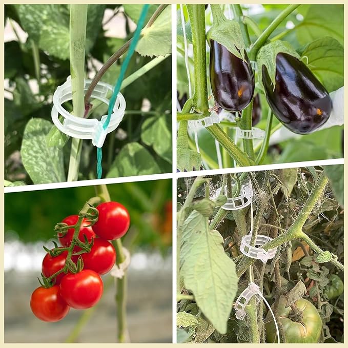 50Pcs Plant Support Clips Reusable Plastic Garden Clips Trellis Clips for Tomato Cucumber Vine Climbing Plants Indoor Outdoor Stem Support Monstera Pothos Orchid Clematis