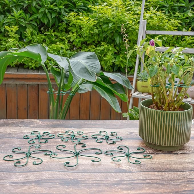 YOHSNOR 5PCS Monstera Plant Support Hook Green, 5.5IN - Durable Metal Stem Support for Indoor Plants, Adjustable & Easy to Install, Ideal for Monstera, Fishbone Cactus, and Decorative Plant Care