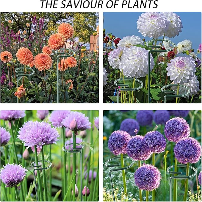 12 Pack 36 inch Plant Support Stakes,Single Stem Plant Support Stake Single Plant Stem Garden Flower Support Stake Steel Plant Cage Support Ring for Orchid Gladiolus Iris Dahlia Amaryllis Rose Lily