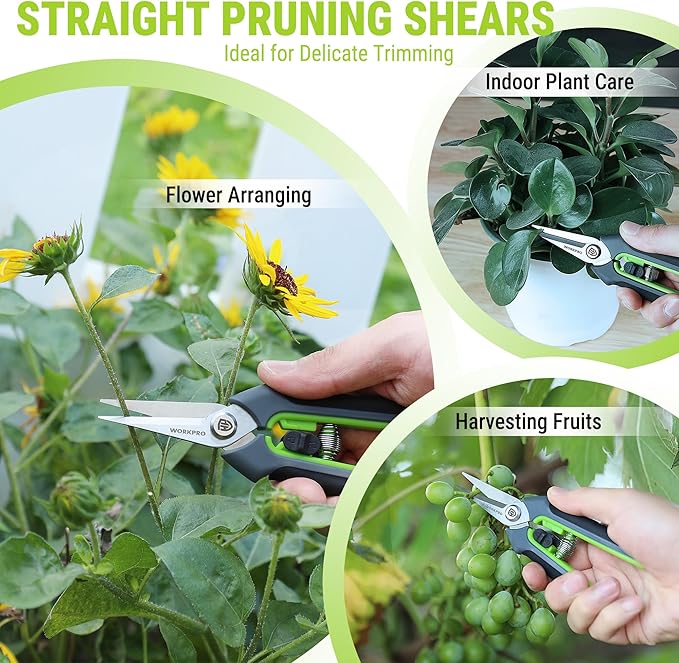 WORKPRO Garden Pruning Shears 2 Pack, 8.25" Bypass Pruning Shears and 6.25" Straight Garden Flower cissors, Garden Clippers Hand Tools for Cutting Flowers, Trimming Plants, Picking Fruits