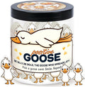 Positive Goose Jar with 60 Affirmation Cards, Emotional Support Goose Decor, Silly Desk Present for Goose Lovers, Mental Health Motivation Jar for Women and Teens, Funny Gag Gift Idea