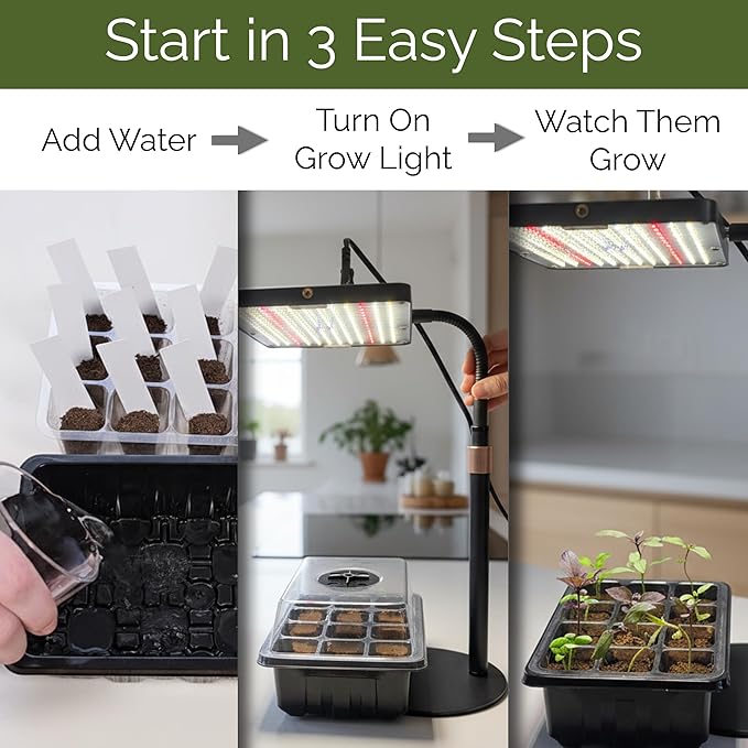 Seed Starter Kit with Grow Light – 2 Seed Starter Tray with Dome, Indoor Seed Starting System with LED Grow Light for Seedlings, Timer & Remote, 2 Kits Included