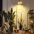 Bamworld Grow Lights for Indoor Plants, Full Spectrum Plant Lights for Indoor Growing, Floor Grow Lamp for Large Plants, Auto ON/Off Timer 3/9/12H, 10 Dimmable Levels, 37-65" Adjustable Height