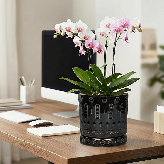 Eightpot 8 Inch Pots for Plants, Ceramic Plant Pot for Indoor Outdoor, Round Planter with Drainage Hole and Tray, Modern Flower Pot, Decorative Plant Pots, Room Decor, House Warming Gifts, Black