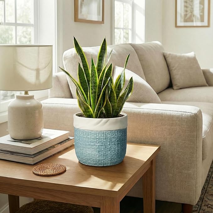 Ceramic Planter - 8 Inch Plant Pot for Indoor Outdoor Plants, Boho Planters with Drainage Hole and Plug, Round Decorative Flower Pots, Garden Home Office Decor, Plant Lover Gifts, Blue