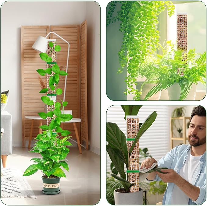 YSKS 6 Pcs 24-inch Plastic Moss Poles for Plants ，Moss Poles for Climbing Plants, Indoor Plant Support Work with Sphagnum muss