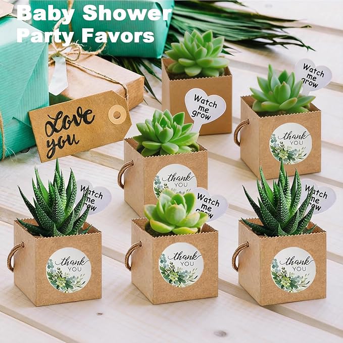 HejVulkan 40 Pack Succulent Wrap Bags Set with 2.5 inch Succulent Gift Box, Heart Plant Tags, Thank You Stickers and Mark Pen, Great Party Favor Gifts for Wedding, Baby Showers, Bridal Showers