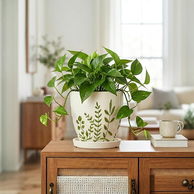 MPotTo 6 Inch Plant Pot - Ceramic Pots for Plants with Drainage Hole and Saucer, Ceramic Succulent Pots for Indoor Outdoor, Decorative Boho Planter, Housewarming Gifts, Garden Room Home Decor, White