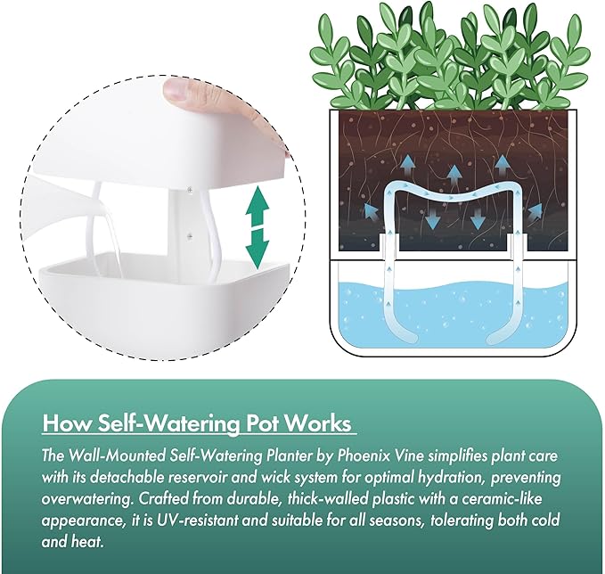 Phoenix Vine 6.5 Inch Wall Mounted Self-Watering Planter Pot for Indoor Houseplants and Herbs | Hanging Planter for Window Sills, Bathroom Walls, Home & Office Décor, White, Set of 1, 01-C-D-1