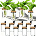 Baderke 12 Set Wall Plant Holder with Plastic Propagation Vases Hanging Planter Wall Mounted Set for Plants Growing in Water Hydroponic Artificial Plants Indoor Decor (2.48" X 3.94",Classic)