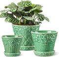 Metahom Ceramic Plant Pots, 3.8+4.9+5.8 Inch, Set of 3 Flower Pots with Drainage Hole & Saucer, Embossed Planter Pots for Indoor Plants, Home Decor, Green