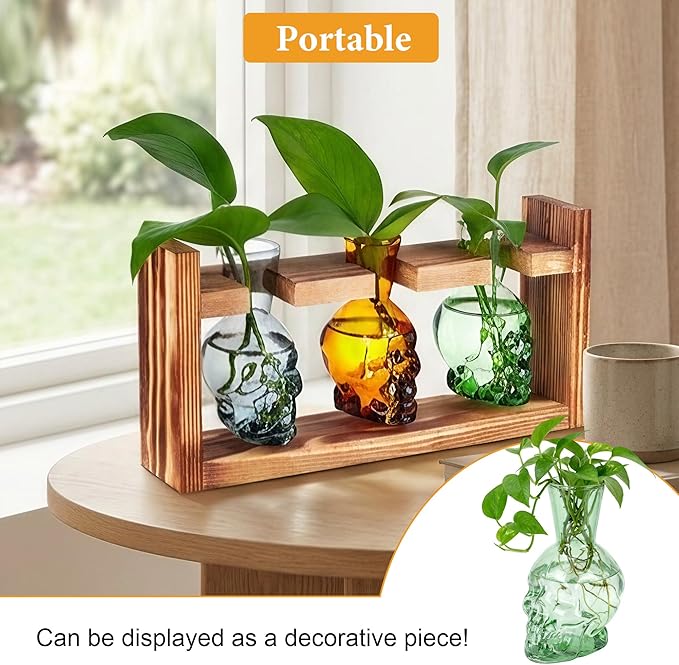 Colored Plant Terrarium Propagation Stations | Borosilicate Glass Hydroponic Vases | Ideal for Succulents, Air Plants, and Plant Cuttings | Unique Halloween Decoration | Creative Gift for Parents