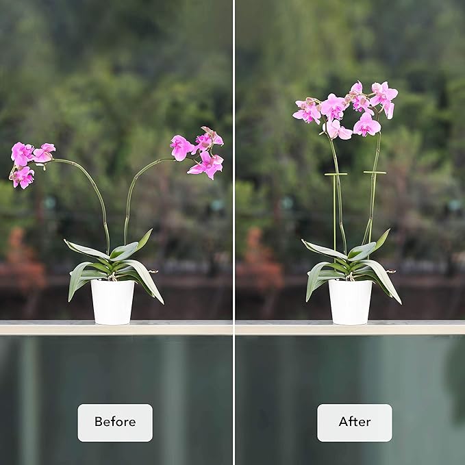 2 Pack Plant Stakes | Plant Supports for Tall Plants and Flowers | Green Garden Stakes | Help Your Flowers Grow | Tomato Cages for Garden | Plant Sticks for Orchid, Amaryllis, Peony, Peppers and More