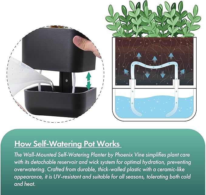 Phoenix Vine 6.5 Inch Wall Mounted Self-Watering Planter Pot for Indoor Houseplants and Herbs | Hanging Planter for Window Sills, Bathroom Walls, Home & Office Décor, Black, Set of 2, 01-C-E-2