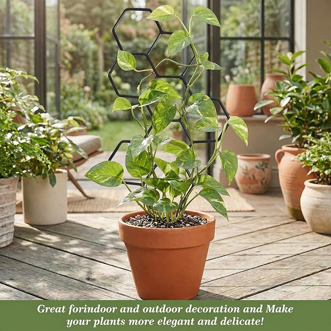 Small Trellis for Potted Plants, 14 Inch Indoor Trellis for Climbing Plants Honeycomb Shape Metal Plant Trellis for Pots Plant Climbing Support for Flower Hoya Pothos Houseplants(Black)
