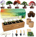 5 Pack Bonsai Tree Kit with Complete Tools, 5X Unique Seeds Bonzai Tree Live Kits, Complete Indoor Bonsai Starter Kit with Wooden Box, Perfect Christmas Garden Gift for Mom, Men, Women, Plant Lover