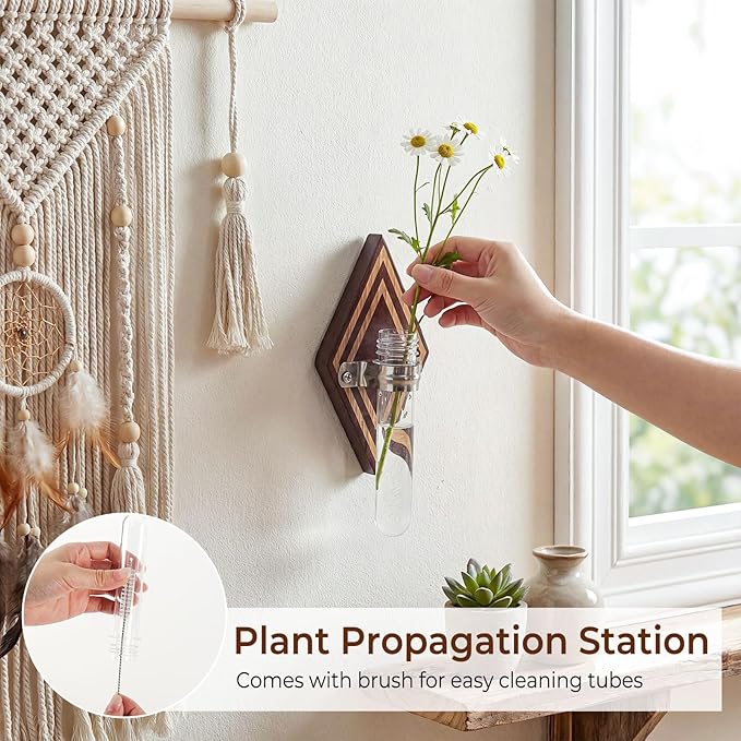2 Pack Hanging Propagation Stations, Wooden Wall Plant Holder with Terrarium for Hydroponic Cuttings, Decorative Wall Planter for Home Office Decor