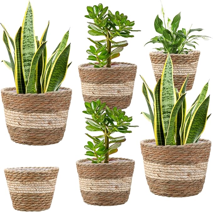 Mumufy 6 Pcs Seagrass Planter Basket Flower Pots Cover Plant Baskets Hand Woven Plant Basket Storage Containers with Plastic Liners for Indoor Outdoor Flower Pots Decoration 10, 7, 8.3 Inch(Novel)