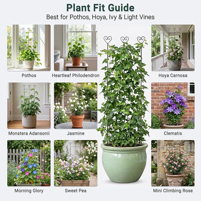 2 Pack 30'' Plant Trellis for Climbing Plants Indoors, Metal Garden Trellis for Potted Houseplant, Rustproof Plant Support for Ivy, Vines, Pothos, Hoya and Flower, Black