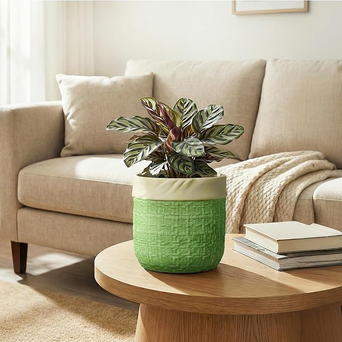 Ceramic Plant Pots - 6 Inch Plant Pot with Drainage Hole, Boho Planters for Indoor Succulent Plants, Decorative Round Unique Flower Pots, Garden Home Office Decor, Housewarming Gifts, Green