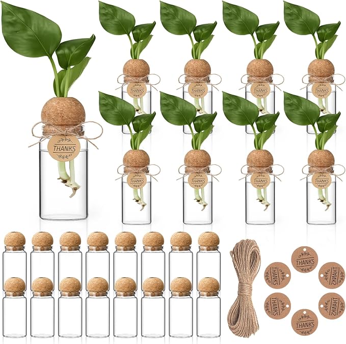 24 Pack 3.54'' Plant Propagation Stations 4 oz Glass Propagation Jars Planter Hydroponic Vase with Mushroom Hole Lid and Thank You Tags for Plant Lovers Office Home Garden