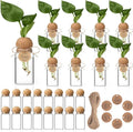 24 Pack 3.54'' Plant Propagation Stations 4 oz Glass Propagation Jars Planter Hydroponic Vase with Mushroom Hole Lid and Thank You Tags for Plant Lovers Office Home Garden