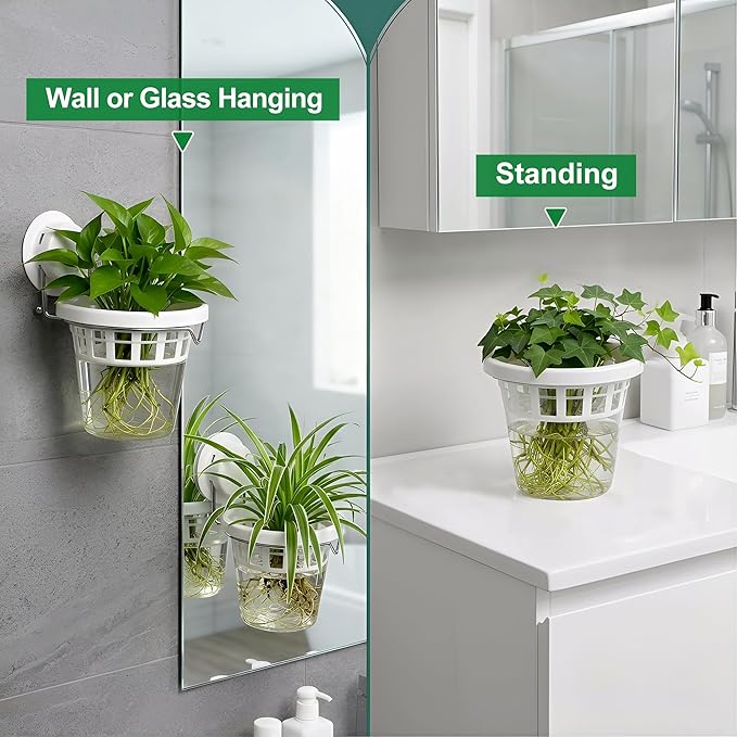 6 Pcs Window Propagation Stations Plastic Wall Hanging Planter with Suction Cup Holder Window Mounted Plant for Hydroponics Plants, Home, Office, Bathroom, Living Room Decor and Any Smooth Surface