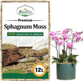 ZeeDix 12L Premium Sphagnum Moss for Plants Indoor, New Zealand Sphagnum Moss for Orchid Potting Mix Terrarium Succulent Carnivorous Ferns Hosta Garden & Reptile Habitat
