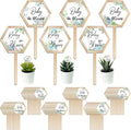 48 Pcs Baby in Bloom Succulent Tags Baby Shower Plant Stakes Labels Wooden Garden Marker Plant Signs for Succulent Markers Potted Flower (Baby Style)