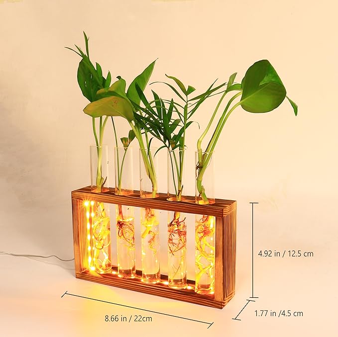 Plant Propagation Station with LED Lights, Plants Terrarium with Wooden Stand, 5 Glass Test Tube Vases for Propagating Hydroponic Plants Cutting Office Home Desk and Garden Decor Gift for Plant Lovers