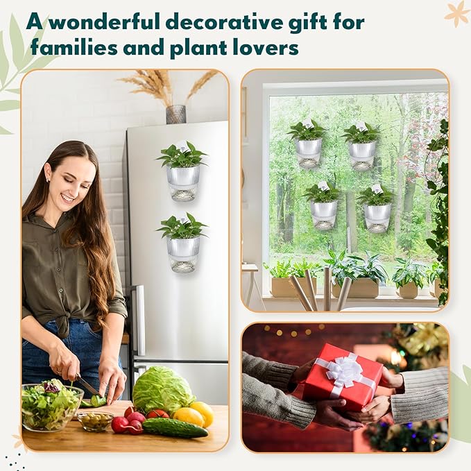 Hushee 4 Set Window Hanging Propagation Stations with Suction Cups Plastic Propagation Vases Propagated Plant Holder Wall Pots for Indoor Plants Office Home Garden Decoration Lover Gift (Clear)