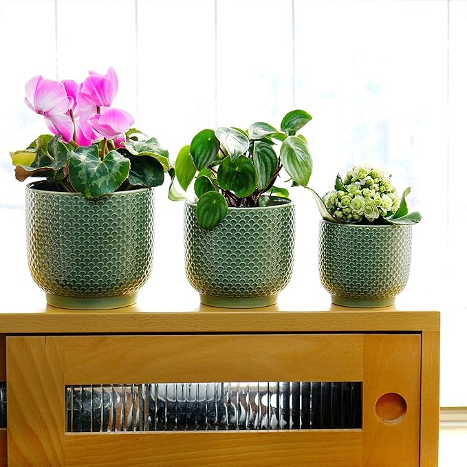 4 + 5 + 6 Inch Ceramic Pots for Indoor Plants, Succulents Plant Pots, Orchid Flower Pot with Drainage Hole, Modern Clay Stoneware Planters, Set of 3 (Green, 4+5+6 Inch)