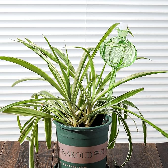 KGCCIZI Self Watering Planter Insert. Plant Watering Devices. 3-Pack Cactus Plant Watering Bulbs. Plant Watering Globes. Plant Gifts Plant Lover Gifts