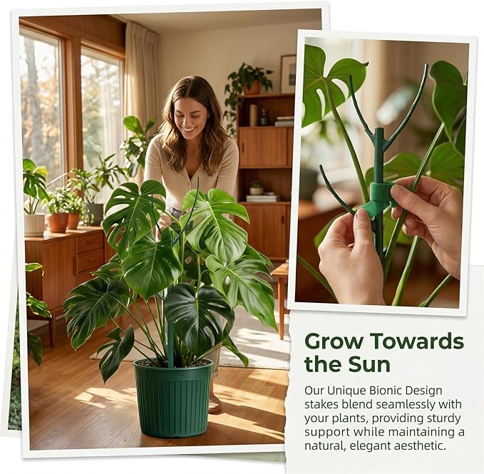 10 Pack Stackable Monstera Plant Support Stakes, Plant Sticks Support Tall for Pothos Climber, Plant Support Garden Stakes for Indoor & Outdoor Pots, Essential Monstera Support for Climbing Vines