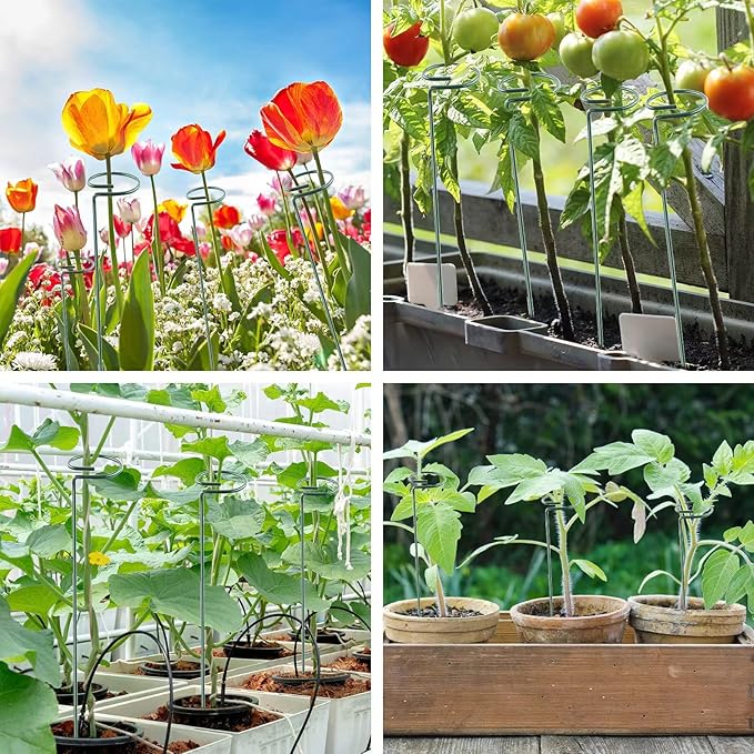 Thealyn 24 Inch 12 Packs Plant Support Stakes,Garden Single stemmed Plant Support Hoops, Plant Prop, for Flowers,Orchid, Tomatoes Peony Lily Rose (24 inch)