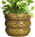 SQOWL Ceramic Planter - 8 Inch Indoor Plant Pot with Drainage Hole, Round Planter for Outdoor Plants, Ceramic Flower Pots, Bubble Planters, Home Room Porch Decor, Plant Lover Gifts, Yellow