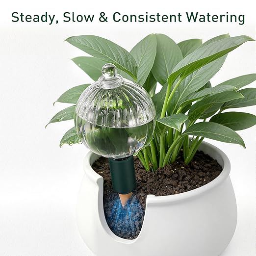 Soilagua 23 oz Extra Large Plant Watering Globes, Top Fill Clear Glass Watering Bulbs with Terracotta Adapter, Slow Release Self Watering for Daily & Vacation Use, Waterer, Planter Insert, 1 Pack