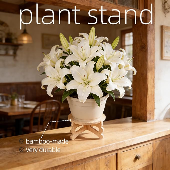 2 PCS Small Plant Stands Indoor, Round Bamboo & Wood Plant Holder Outdoor Flower Pot Stand, Wooden Display Flower Support Pedestal Board Accessories Plant Tables, Suitable for up to 4 inches