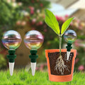 2 Pack Glass Self-Watering Globes for Plants, 6oz Automatic Plant Waterer Bulbs with Terracotta Slow Release Spikes, Vacation Indoor Outdoor Houseplant Watering Devices