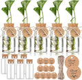 Baderke 3.54'' Plastic Plant Propagation Stations with Hole Lid 4oz Planter Vase Clear Propagation Jars with Thank You Tags for Plant Lover Gifts for Women Office Home Garden(12 Pack)