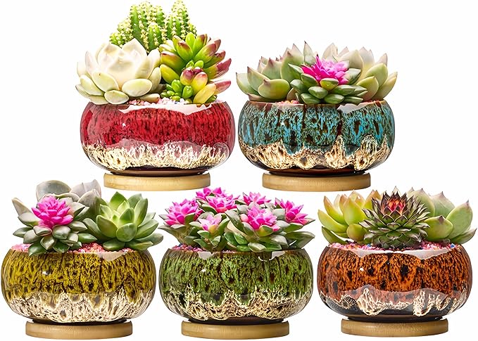 Cute Ceramic Succulent Garden Pots, Planter with Drainage and Attached Saucer, Set of 5 -Plants Not Included (Round+White Border)
