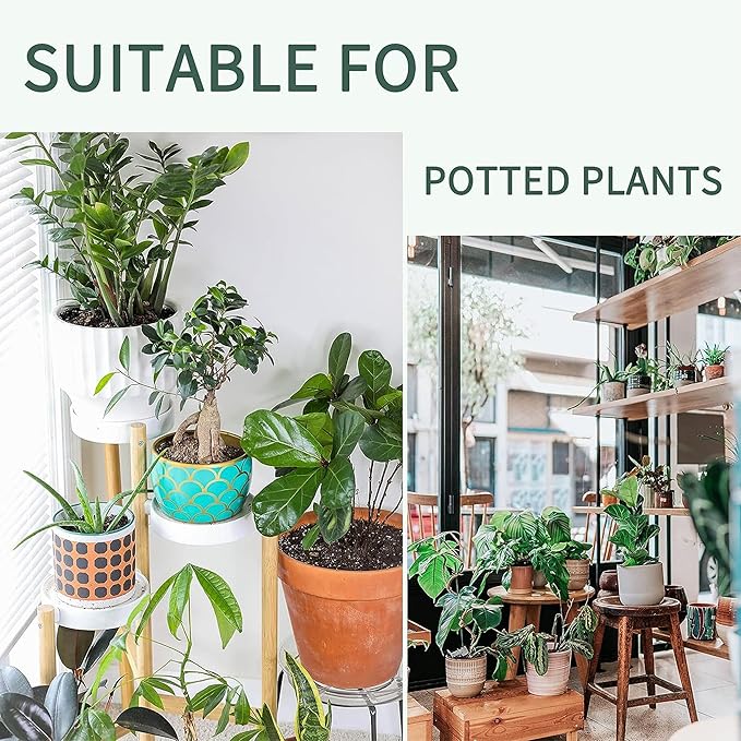 AOPANDA Plant Watering Globes, Self Watering Flower Pot Insert, Plastic Self Watering Bulbs, Large Capacity, for Indoor and Outdoor Plants,3pcs
